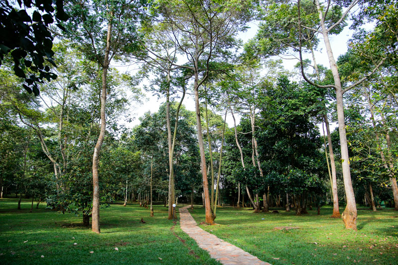 Wooded grounds at Maya Nature Resort.