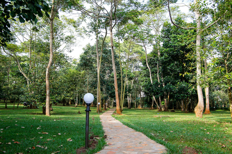 Lamplit garden path at Maya Nature Resort.