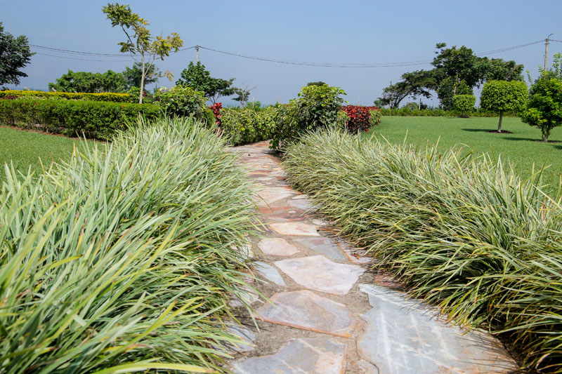 A garden walk at Maya Nature Resort.