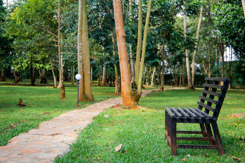 Woodland path at Maya Nature Resort.